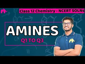 Amines Class 12 Chemistry | Chapter 13 NCERT Solutions Questions 1-3 CBSE JEE NEET