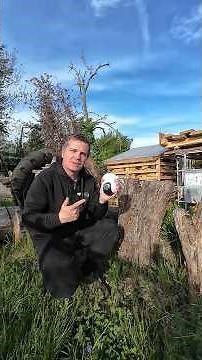 Surveillance camera with SIM card