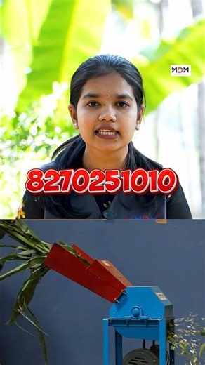 പച്ചയും ഉണങ്ങിയതുമായ തീറ്റയ്ക്ക് മികച്ച മെഷീൻ