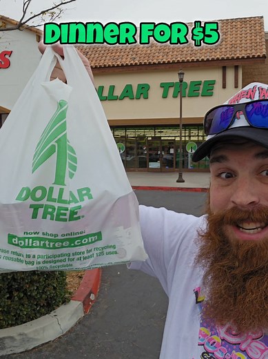 Delicious Dollar Tree Dinner Ideas for $5