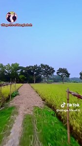 حسابات مقترحة