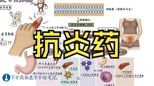 手绘精讲 | 抗炎药物（NSAIDS)  COX1 VS. COX2 布洛芬/扶他林/阿司匹林/美洛昔康-迷路的黎塞留-默认收藏夹-哔哩哔哩视频