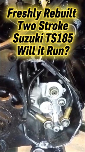 Freshly Rebuilt Motorcycle Engine: Will it Run? 1977 Suzuki TS185 Two Stroke #vintagemotorcyle #fyp