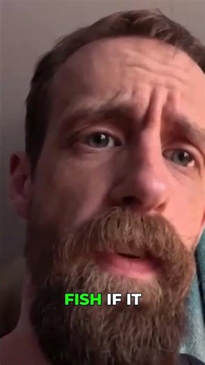 Why Sponge Filters Are My Top Pick For Fish Tanks!