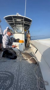 1.6M views · 20K reactions | Thrilled to partner with the New England...