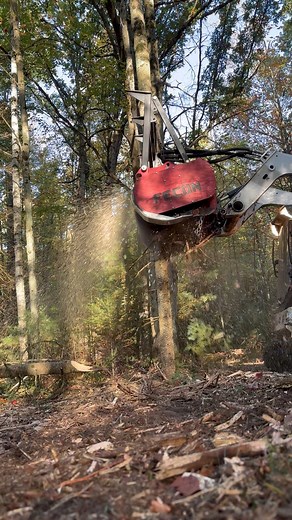 Turning Overgrown Land Into Usable Ground — One Acre at a Time 💪 Got a patch of woods, brush, or thick junk growth that’s taking over your property? We’ll clear it out and grind it down — stumps, saplings, and all. Our forestry mulching and land clearing work leaves you with clean, level, and usable ground without tearing up the dirt or leaving piles of debris behind. Whether it’s for a new build, food plot, or just getting your property back under control, we’ve got the iron and the know-how t