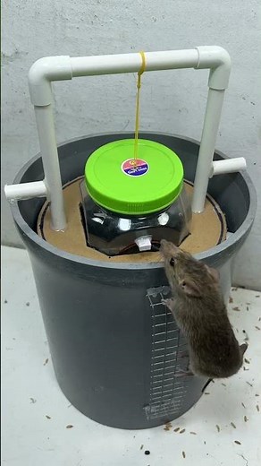 Homemade trap/Make your own VPC plastic pipes and plastic jars to make traps #rat #rattrap