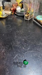 191K views · 2.7K reactions | They will hatch soon! #reels #hatch #snake #reptiles #eggs #biology | The Molinaro Snake Lab | Facebook