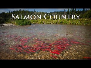 Alaska Salmon Country - Sockeye City
