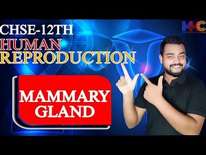 L-6//CHSE Class 12 Biology //Human Reproduction // By Amarendra Prasad//MMC