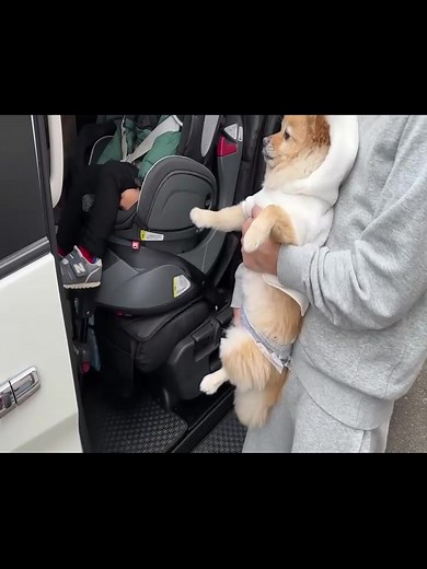 4 | お別れの日がやってきました…