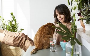 Ideas to get your balcony ready for spring