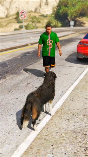 GTA 5 Emotional Scene | Franklin Realizes the Dog Was Trying to Help #gta5