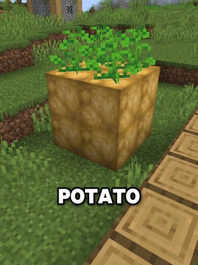 Minecraft Mods: Giant Crops and Plow Farming Features