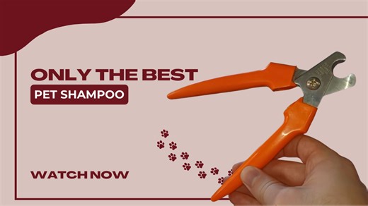 Watch This Millers Forge Dog Nail Clipper Is The One You Want on Amazon Live