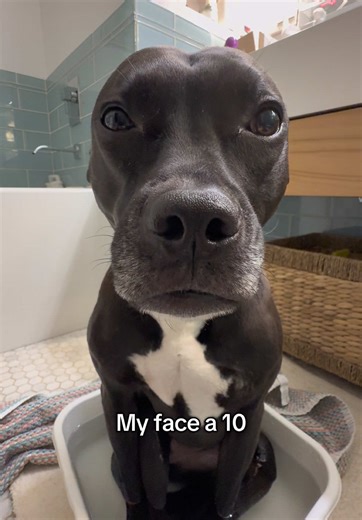 Embracing Natural Beauty and Confidence