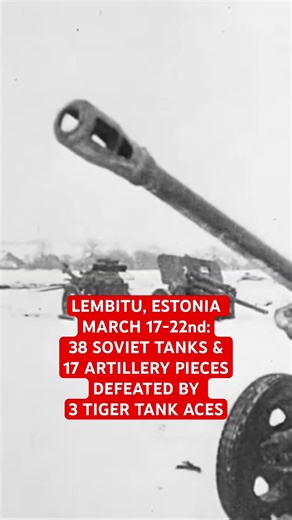 38 Tanks, Tiger Tank, and Wehrmacht in WW2 #tank #ww2 #shorts