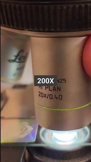 HUMAN KIDNEY at 40x,100x, 200x and 400x magnification | KIDNEY under the miscroscope 🔬