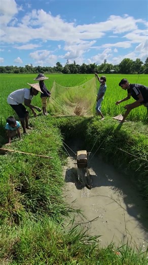 The land is being irrigated using an extraordinary method ....#shorts #viral #trending