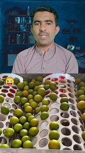 2.7M views · 20K reactions | Fruit size sorting machine ! #machine #Automatic #reels #ideas #tipsandtricks | SF Reactions | Facebook