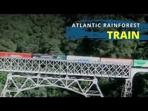 Train ride through Paranaguá - Curitiba Railway | Serra Verde Express