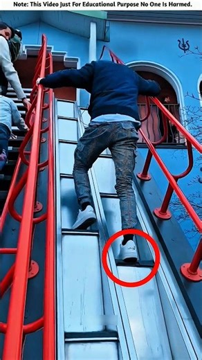 Building Wooden Log Cabin in Forest 🎄🎈 | Survival House Step by Step "9 #shorts #facts