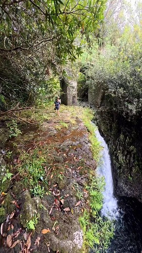 41M views · 594K reactions | Qui a dit que le cliffjump est un sport d'homme ? Bravo @_film_georgette pour ce magnifique Dods à 16 mètres  #iledelareunion #reunionisland #cliffjumping #flipping #extremesports #døds | Lauzad | Facebook