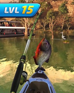 Get the feeling of a real sport competition! 🏆 Go fishing 🎣 and take part in tournaments. Play NOW! | Fishing Clash