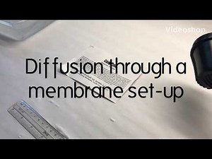 CCC Online Biology Lab Resources - diffusion through a membrane (basic set up protocol)