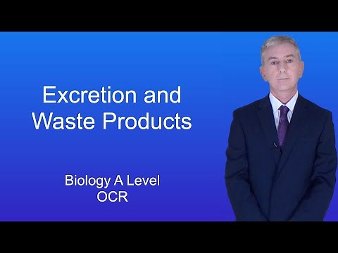 A Level Biology Revision (Year 13) "Excretion and Waste Products"