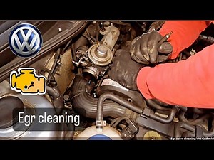 Egr Valve cleaning VW golf mk4 1.9 tdi 74kw