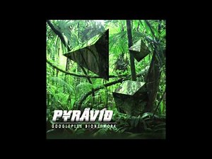 Pyravid : GooglePlex Bionetwork