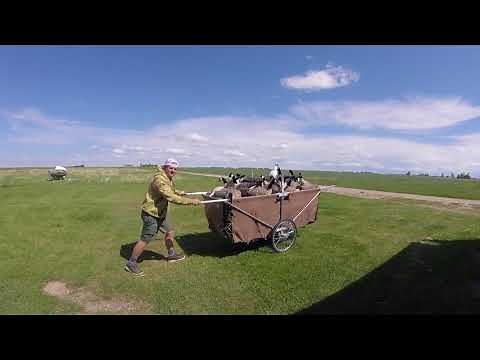 A waterfowl decoy cart that will carry all your decoys!