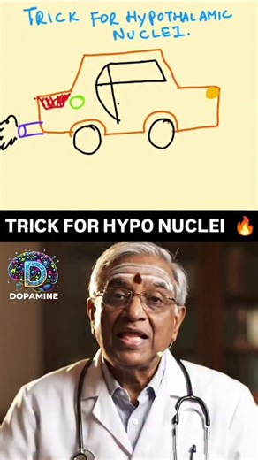 Dr Kailasam on Instagram: "Trick to remember hypothalamic nuclei🔥🔥🔥 Dr. Kailasam explains the functions of the hypothalamus using a simple car visual mnemonic — perfect for NEET-PG, INI-CET, FMGE, and USMLE Step-F preparation. 🚗 Radiator (Anterior nucleus) → Cooling 🔥 Exhaust (Posterior nucleus) → Heating ⛽ Fuel cap (Lateral hypothalamus) → Hunger 🛢️ Gas tank (Ventromedial nucleus) → Satiety 🌙 Moonroof clock (Suprachiasmatic nucleus) → Circadian rhythm 🧠 Rear seat (Mammillary bodies) → M