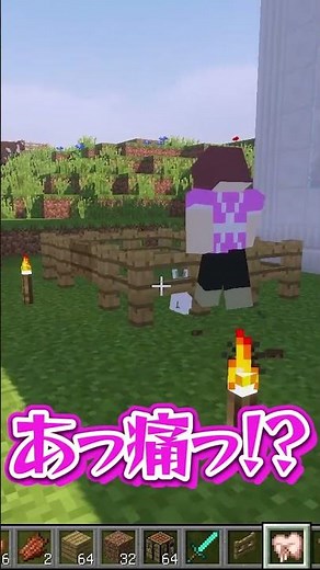 お母さんが飼ってるウサギが殺人ウサギになってたら？【マイクラ・マインクラフト】#shorts