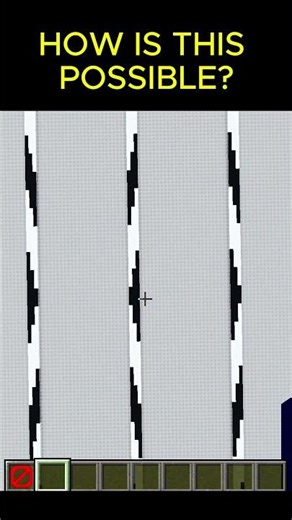 OPTICAL ILLUSION | #minecraft