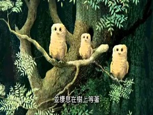 Owl Babies-世界暢銷兒童繪本動畫精選