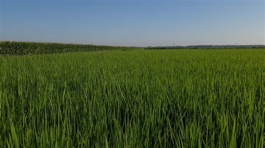 4.1K views · 101 reactions | Ducks Unlimited on Reels | Facebook