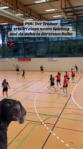 Trainer erklärt neuen Spielzug im Handball