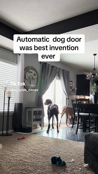 Automatic Dog Door With Smart Collar Tag Benefits