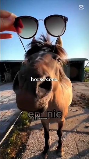 Horse core! #horsecore.