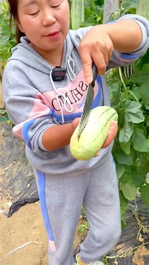 Fresh Harvest: The Most Satisfying Crunch! 🥒✨
