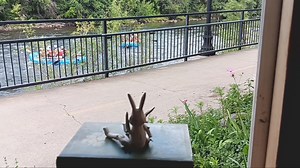 21 reactions | One of our rabbits has been keeping me company in the...