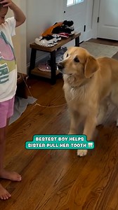 1.9M views · 46K reactions | I'd be too scared 醴 | Furry Tails | Facebook