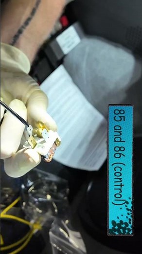 How does a relay work?