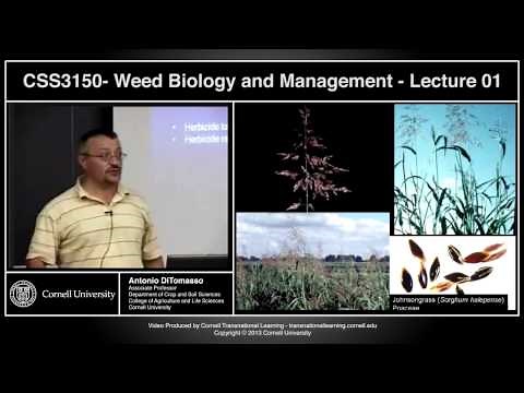 CSS3150 - Weed Biology and Management - Lecture 1