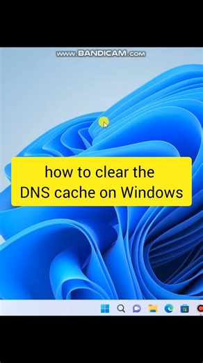 how to clear the DNS cache on Windows #FlushDNSWindowsTips #DNSCacheFix #WindowsDNSFlush #TechTipsDNS #techtips #cmdtricks #shortsfeed #networking #networkbasics @topfans Tech Whiz Ajith | Tech Whiz Ajith
