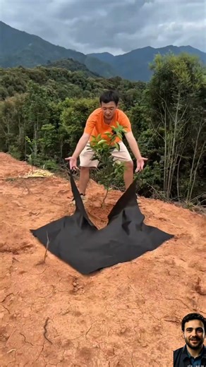 المفرش الذكي الذي يحمي الشجرة من الموت الصامت #الزراعة #افكار_زراعية #ابتكارات #حماي #تطور_بلا_حدود