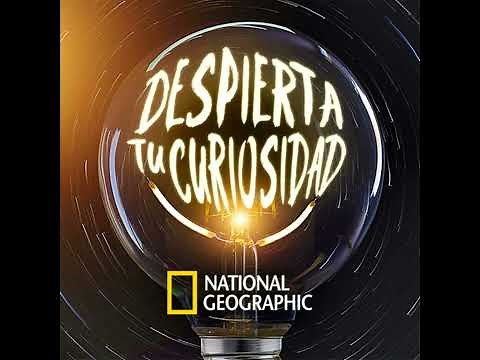 Donde las aves se convierten en piedras: el misterio del Lago Natron