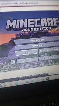 Mods with Sklauncher (forge)